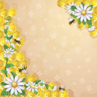 蜜蜂和花和蜂巢