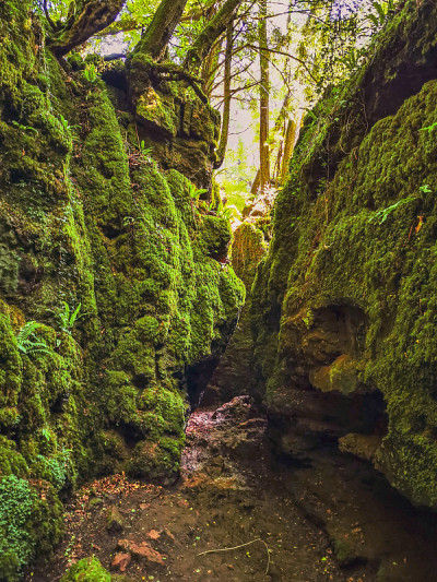 神奇的Puzzlewood