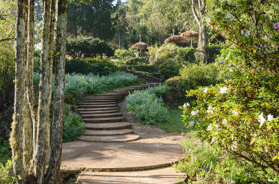 花园里的散步道