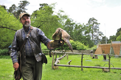 Falconer和Falcon falco cherrug。