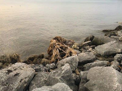 密歇根湖上的日出
