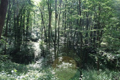 庄园和城堡DE LACROIX-LAVAL - MARCY etoile - RHONE