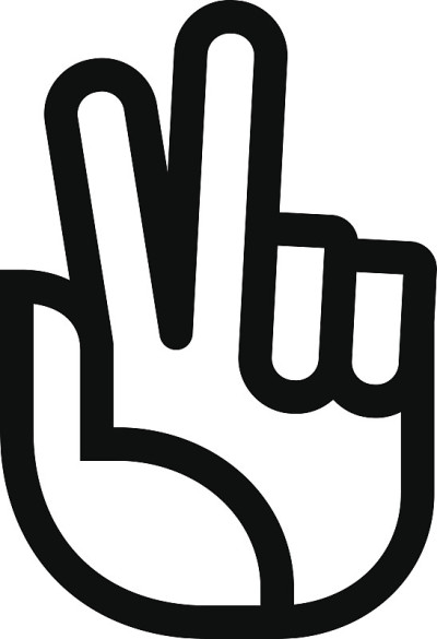 V标志