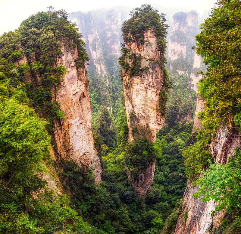 袁家界高耸的山峰