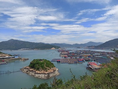 中国福建省霞浦的海藻养殖