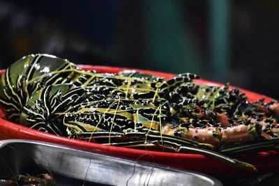 夜市上卖着新鲜的龙虾海鲜，kampung ujung labuan bajo