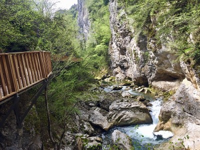 全球山脉Horma峡谷自然河木桥Pinarbasi Kastamonu 2019年5月