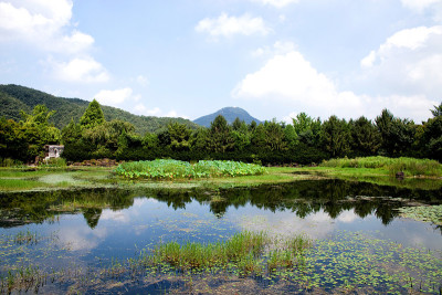 池塘。