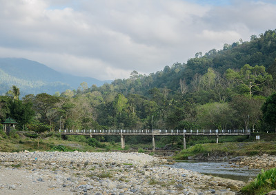 泰国乡村自然背景