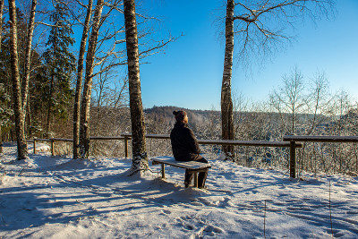 太阳在大雪覆盖的森林中升起