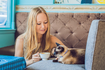 一个年轻的女人喝着咖啡，抚摸着她的猫，背景是被猫抓过的沙发