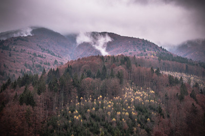 秋天的山