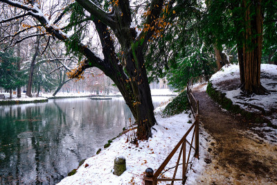 一场暴风雪过后，蒙扎公园的池塘结冰了