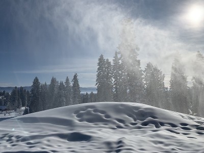 雪使
