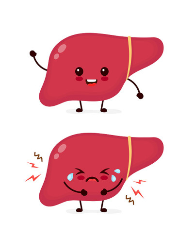 Sad sick cry and healthy strong cute liver