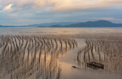 海岸潮间带