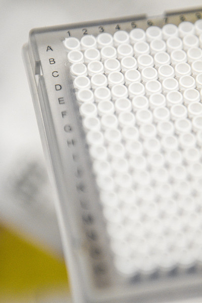 384 Cell Plate for Research