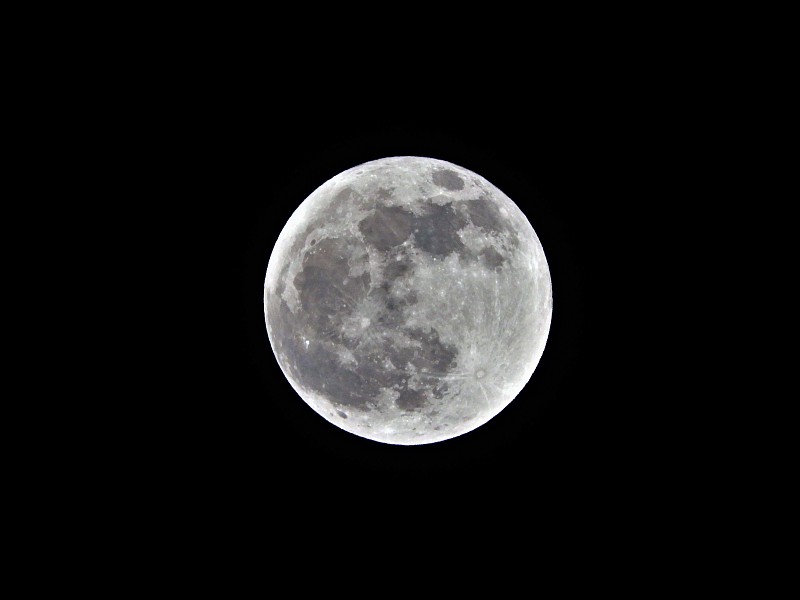 Beaver　Moon5