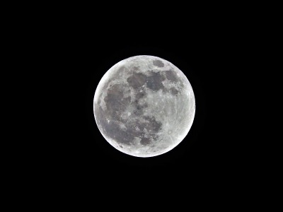 Beaver　Moon5