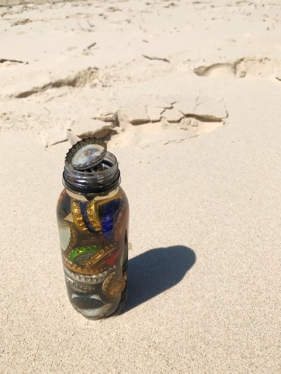 在海滩上乱扔垃圾的影响表现在从海滩-海洋污染收集的垃圾中