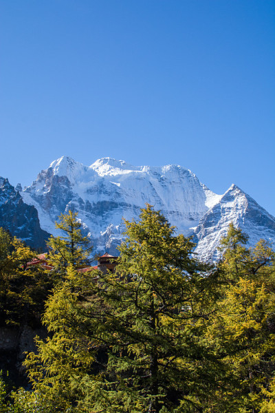 山上有雪和松林