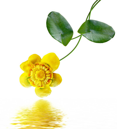 花