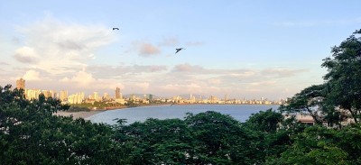 海岸道俯视图