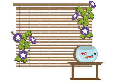 牵牛花。
