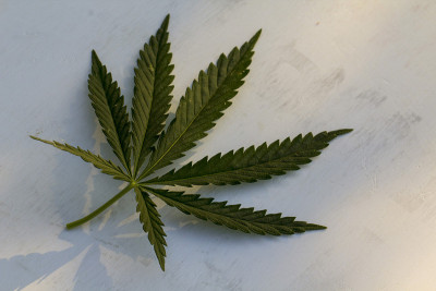 白色木质背景上的麻床单