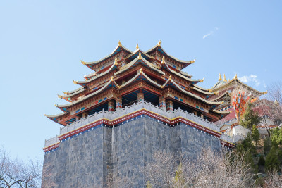寺庙龟山公园