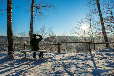 太阳在大雪覆盖的森林中升起