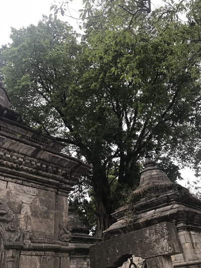 Pashupatinath寺庙，加德满都，尼泊尔