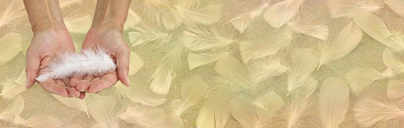 收到天使的帮助
