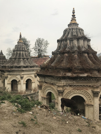 Pashupatinath寺庙，加德满都，尼泊尔