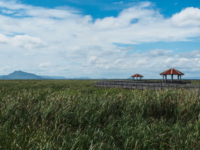 泰国，Khao Sam Roi Yot, Prachuap Khiri Khan，大自然无处不在。