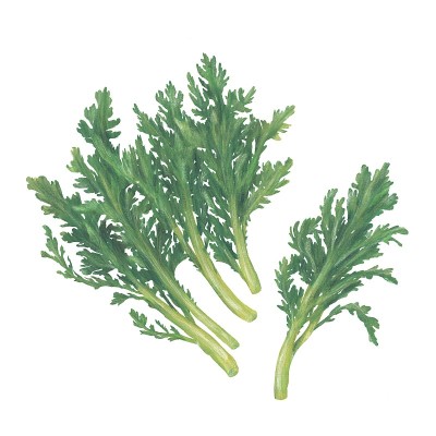花环菊花