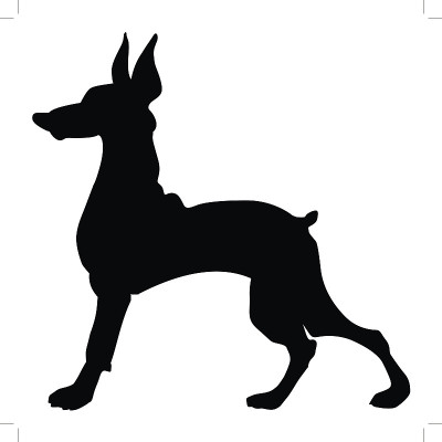 杜宾犬