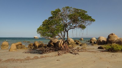 洛克哈特河海滩，Qld 8。