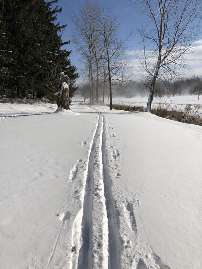 越野滑雪道