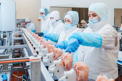一群在鸡肉工厂工作的工人——食品加工厂的概念。现代化食品工厂的自动化生产线。饺子生产。工作的人。食品