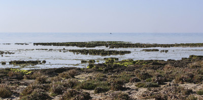 Aghir, djerba, Mednine，南突尼斯