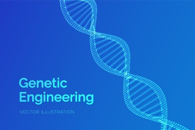DNA序列。线框DNA分子结构网。DNA代码可编辑模板。科学技术概念。矢量插图。