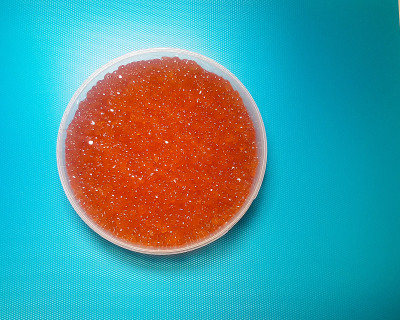 蓝色底色上有红色鲑鱼或keta鱼子酱的塑料容器