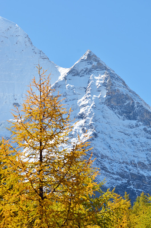 中国云南亚丁国家级自然保护区的三角雪山山峰