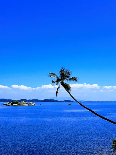 Paquetá岛
