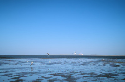 灯塔-海景