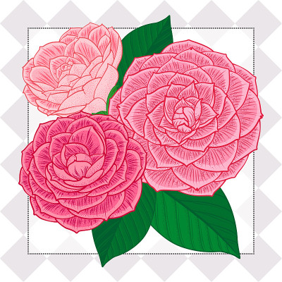 Color graphic set - flowers and leaves of a Japane