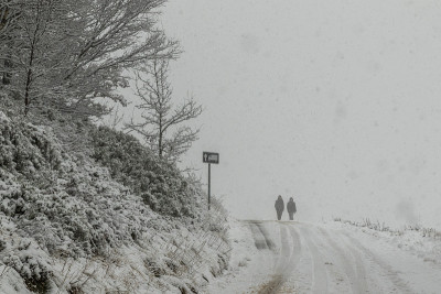 雪覆盖了道路