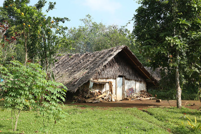 丛林小屋