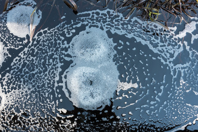 荒野里的烟瘴气